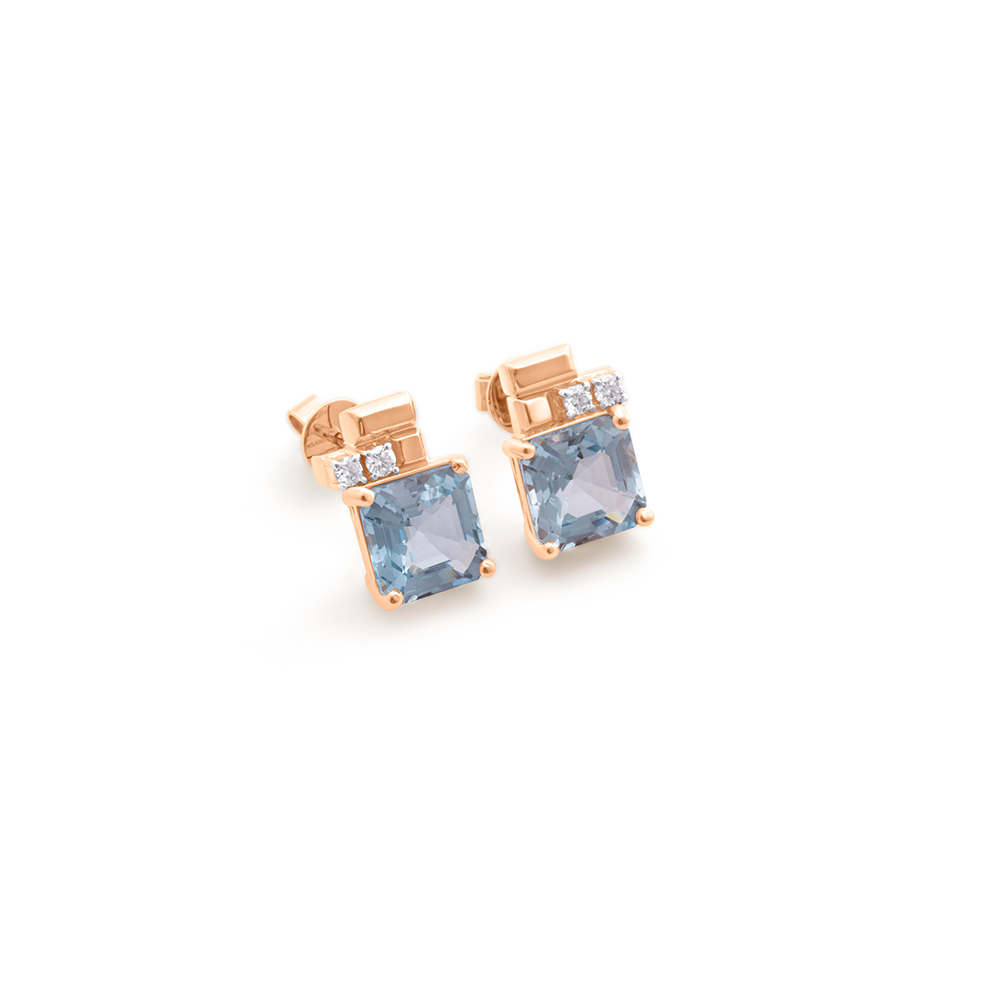 Wehaj Sport Small Earrings