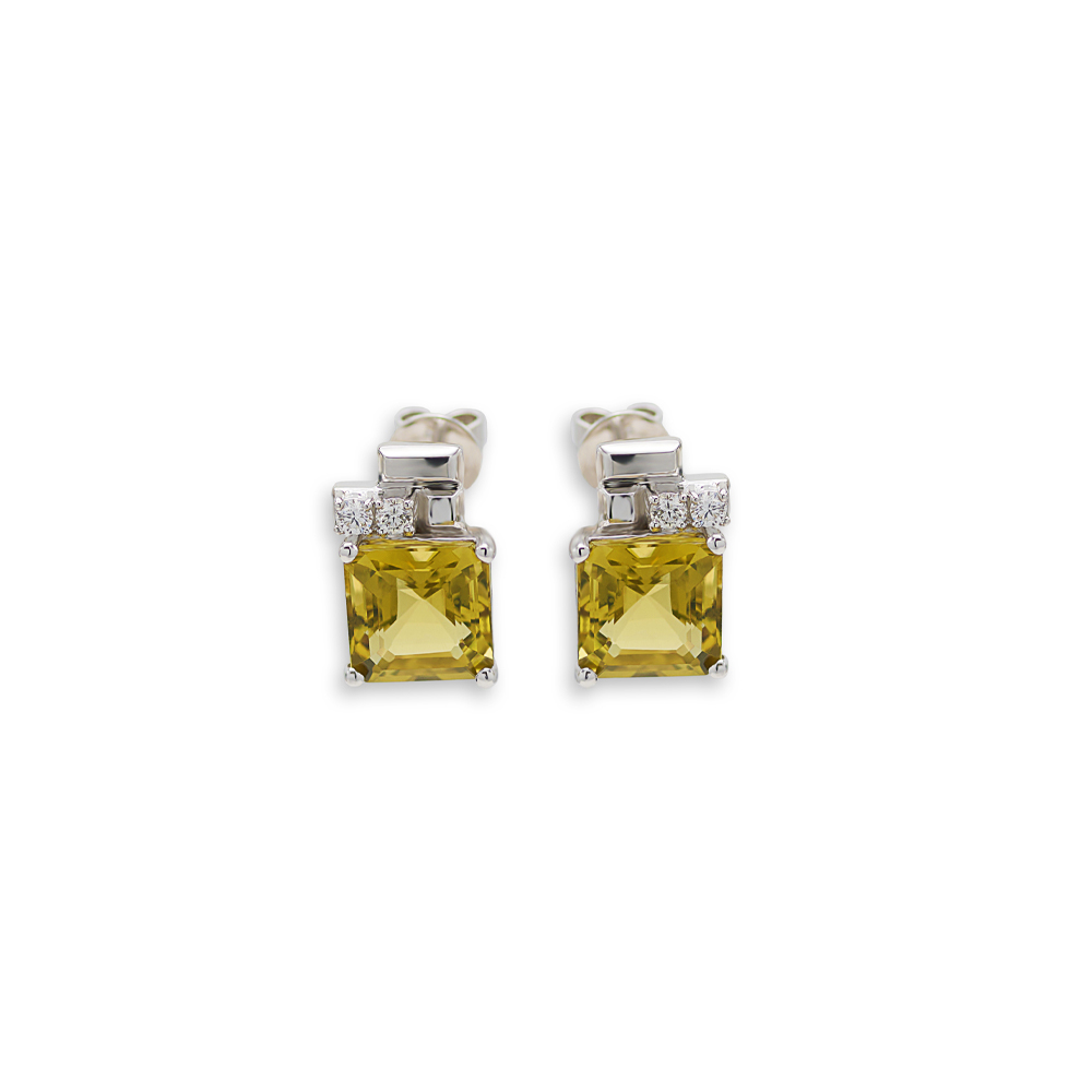 Wehaj Sport Small Earrings