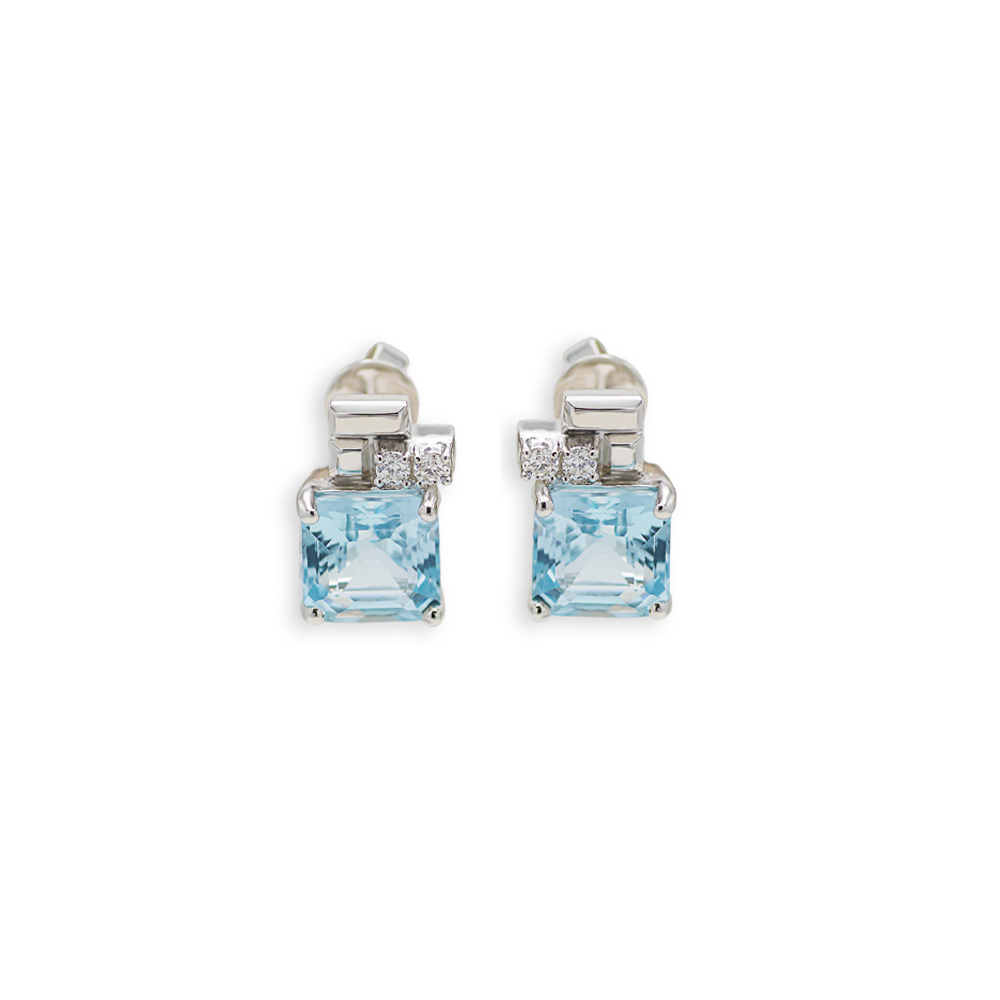 Wehaj Sport Small Earrings