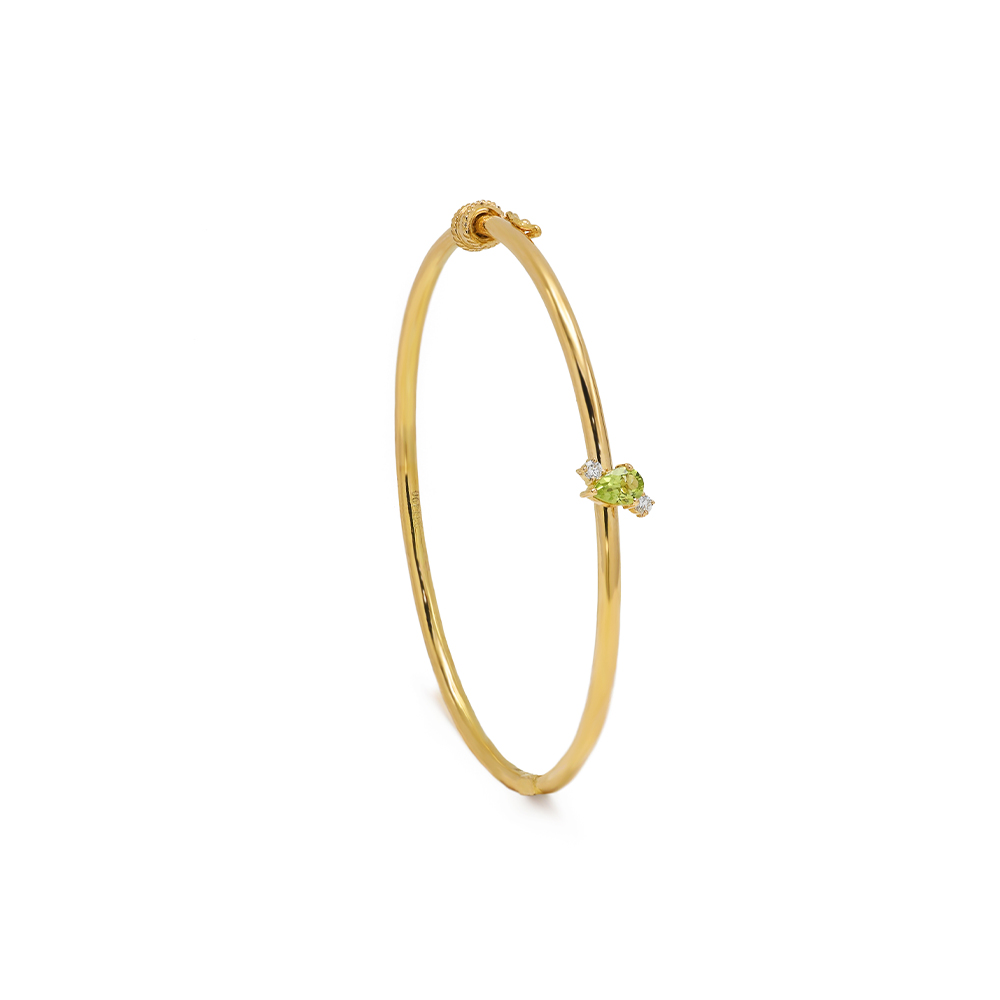 سوار ملكة المجرات السكني